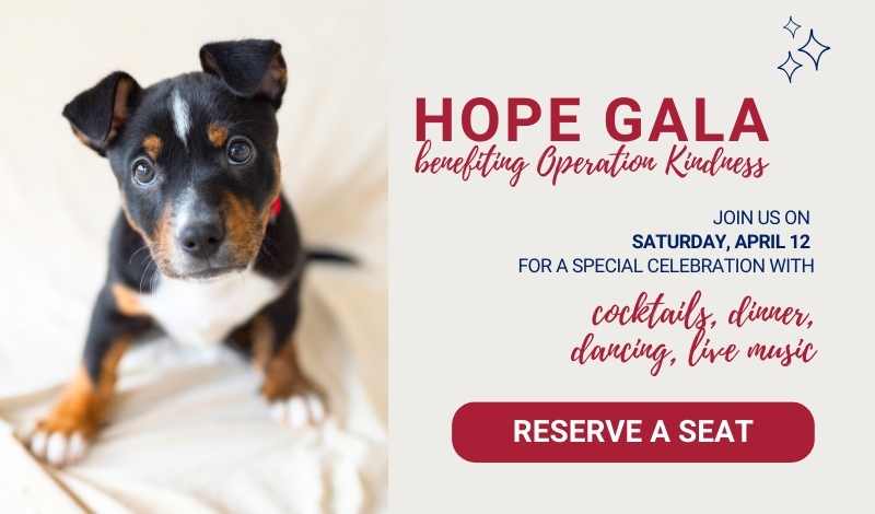 Hope Gala on Saturday April 12, 2025 at Gilley's Dallas