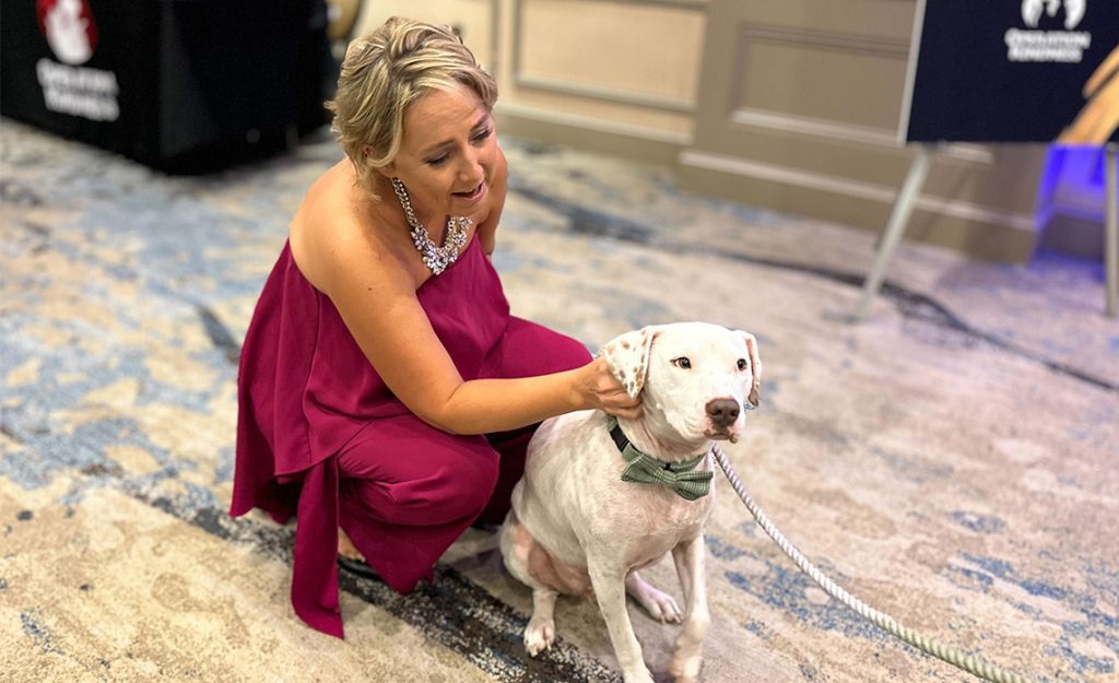 Operation Kindness I Canines, Cats, Cabernet Gala