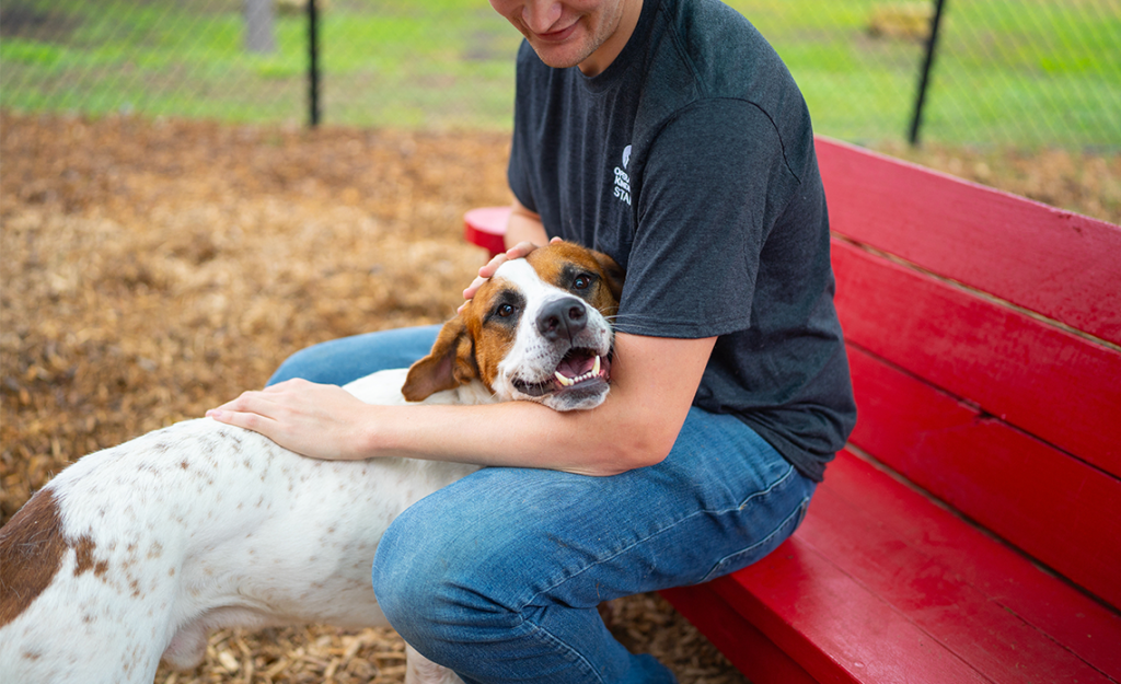 Operation Kindness Dog being pet by a staff member