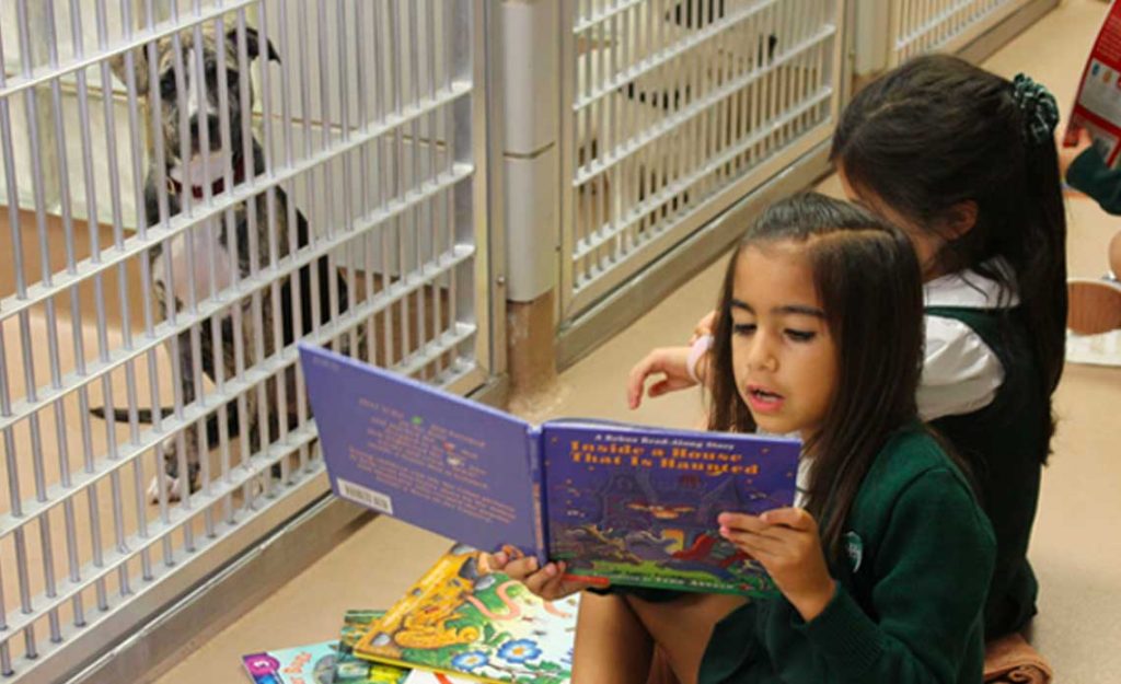 Children of North Texas participating in Operation Kindness' Stories for Pets at their adoption center | Operation Kindness Blog: Stories for Pets